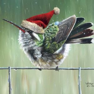 Meet your Posher, Paula